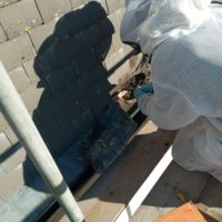 Liverpool Cathedral: Bee hive removal from a tree